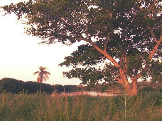 The Gunjur Project Lodge Luaran gambar
