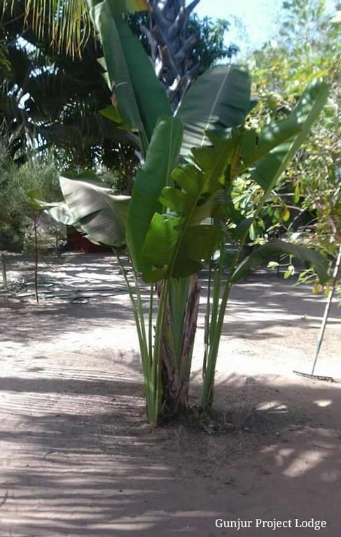The Gunjur Project Lodge Luaran gambar